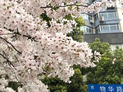 -玛格萝妮比萨屋(四平店)