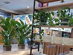 -大清花饺子(山庄店)