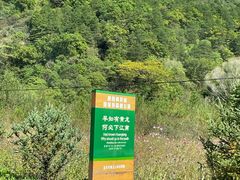 -黄龙山原始森林景区