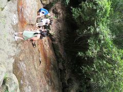 -铁山坪森林公园