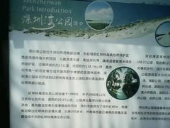 -深圳湾公园(南山区)