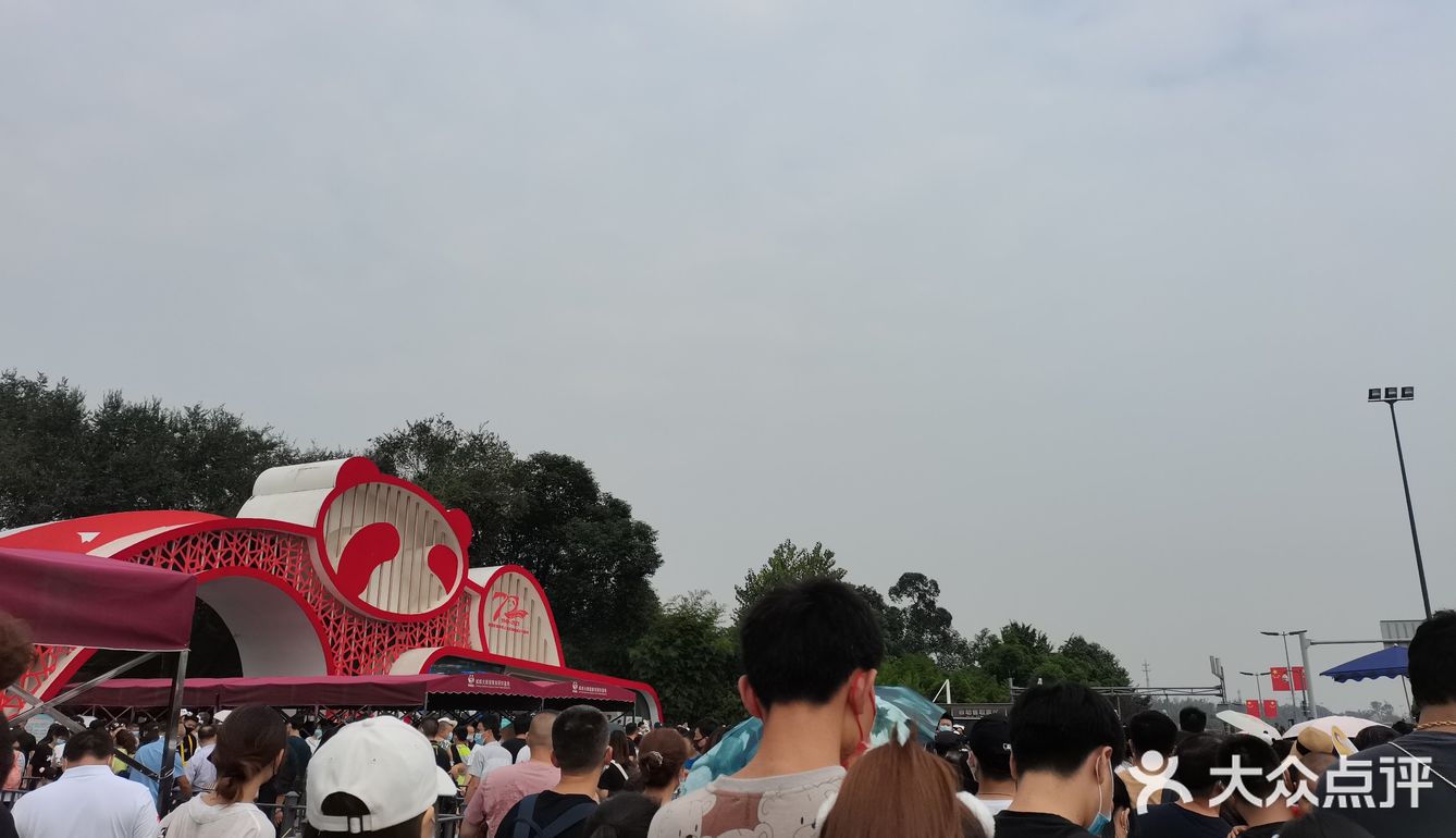 大熊猫