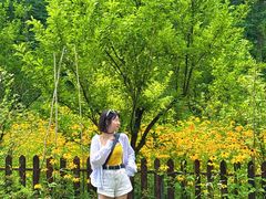 -参仙谷生态旅游度假区