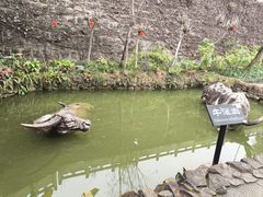 -燊海井