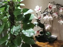 -菩提慧宾养生堂(梦幻亮点世界公园店)