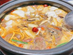 -菌之家·专业纯野生菌火锅·特色炒菌