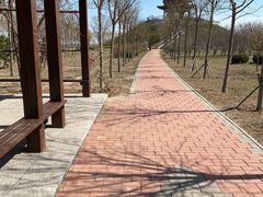 -南大港湿地风景区