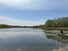 -马家湾湿地公园
