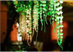 点击看大图 -久久婚礼