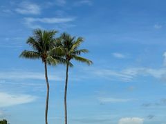 -明记烧鱼美味店