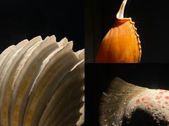 -中国湿地博物馆