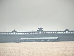-望湖烤鱼