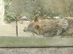 -成都动物园