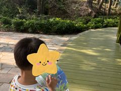 -广州市流溪河国家森林公园