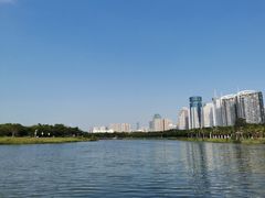 -万绿园