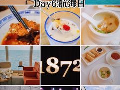 -招商蛇口邮轮母港(观光客运)