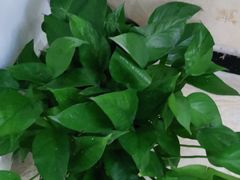 -至尊名仕·中泰按摩·养生SPA会所