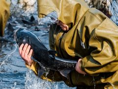 -南京金牛湖风景区