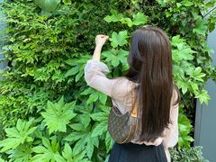 -武汉光谷K11
