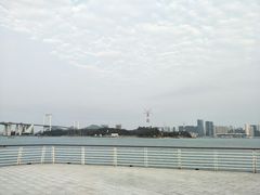 -海沧湾公园