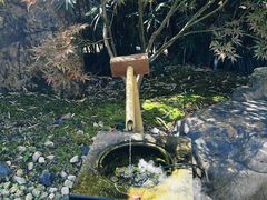 景观位-庆春朴门