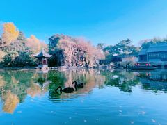 -水绘园