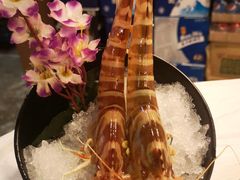 花竹虾-鲜入围煮花胶鸡海鲜火锅