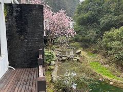 -明月山天沐温泉度假村