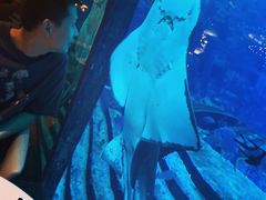 -亚特兰蒂斯•OSSIANO奥西亚诺海底餐厅