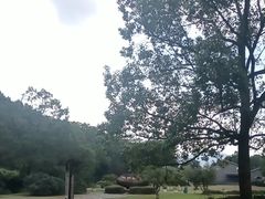 -陶祖圣境风景区