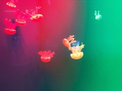 -福州罗源湾海洋世界旅游区