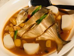 鲳鱼烧年糕-新荣记(新源南路店)