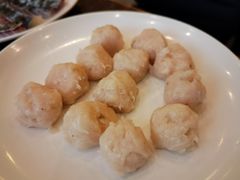 手打鱼丸-正能量脆肉鲩火锅