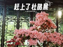 -上海醉白池公园