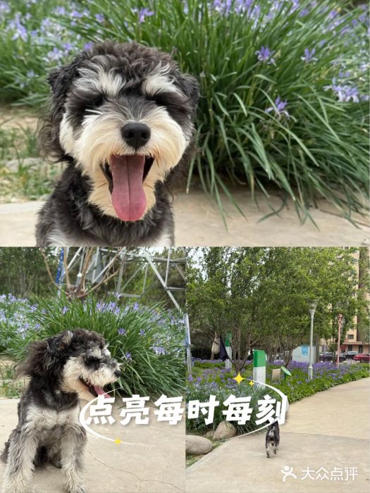 坝河休闲公园图片