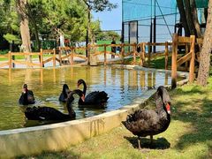 -南戴河国际娱乐中心