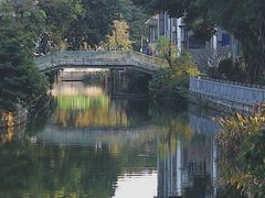 -荔湾湖公园