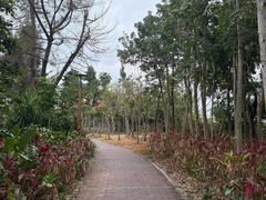-中澳友谊花园