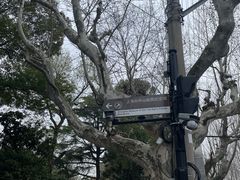 -思南公馆