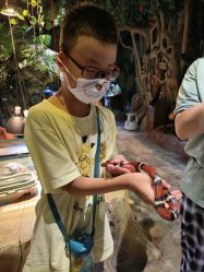 -酷嗒动物文化乐园(cutezoo西溪乐天城店)