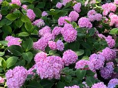 -常州古运河南大街文化旅游区-人民公园