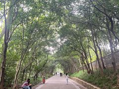 -灵谷景区