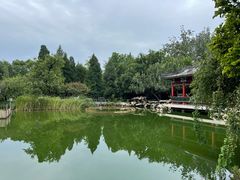 -宣武艺园
