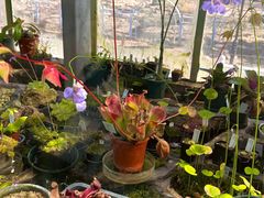 -国家植物园南园