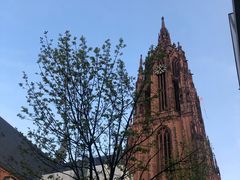 -Restaurant Paulaner am Dom