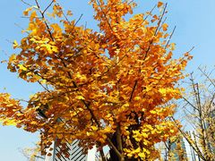 -两江幸福广场