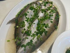 -金鼎轩(亚运村店)