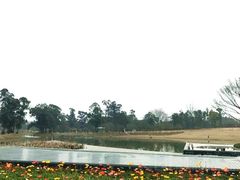 -两河城市森林公园