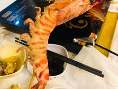 花竹虾-鲜入围煮花胶鸡海鲜火锅