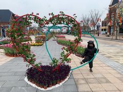 -荷兰花海